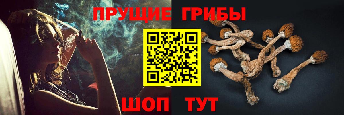 Новотроицк  Псилоцибиновые грибы ЛСД  Вход с VPN 